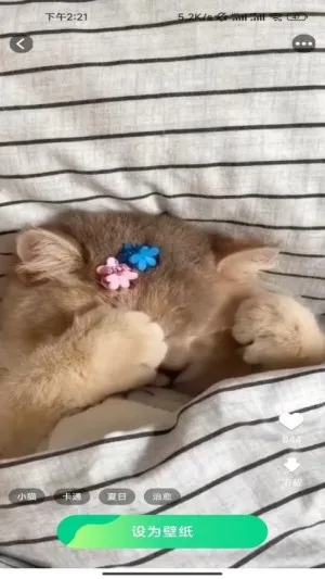 ѡȤֽ(ֽ)v1.5.2.2 ֻ