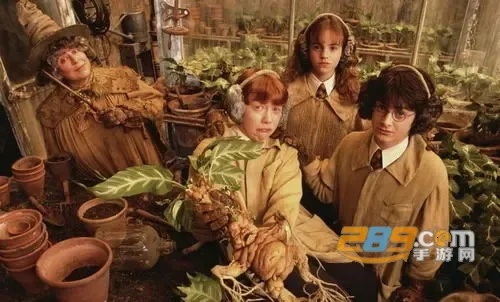 欧乐影视TV版(在线看视频) 欧乐影视TV版(在线看视频)