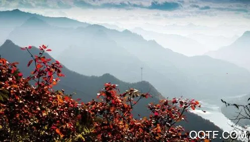 谷城社区2025最新版本 谷城社区2025最新版本