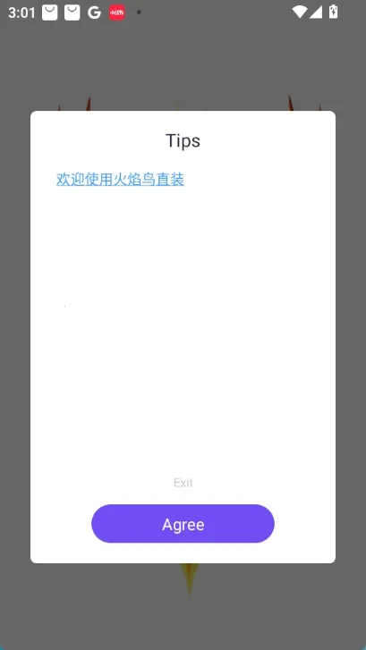 v2ֱװ2025ذװv1.0 ֻ