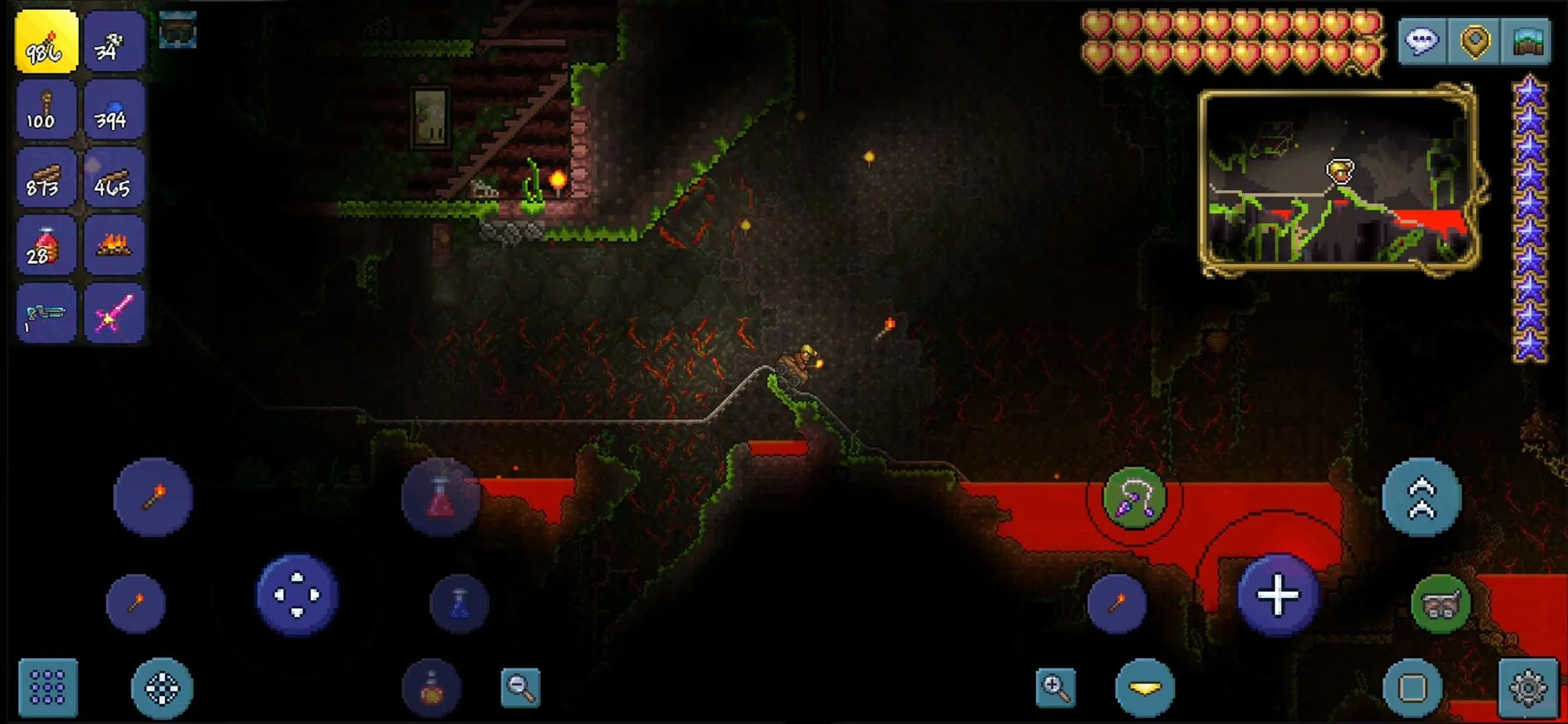 terrariaֶ2025ذװv1.4.1.5.1 ֻ