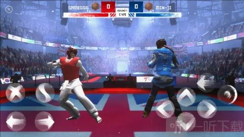 跆拳道大奖赛(跆拳道格斗游戏) 跆拳道大奖赛(跆拳道格斗游戏)