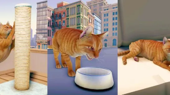 èռǴ2025ذװv1.1 ׿