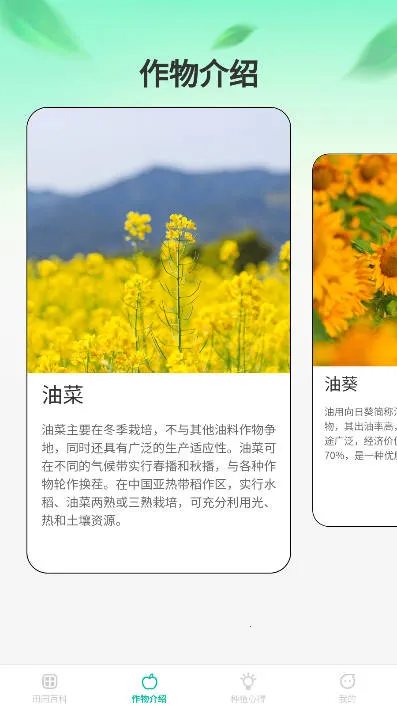 ũʱⰲ׿ֻv1.0.0 ٷ