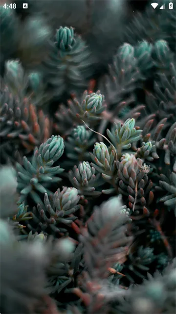 Dock��ֽ(��ֽ��Դ����)