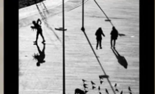 看不见的真相2025官方最新版本 看不见的真相2025官方最新版本