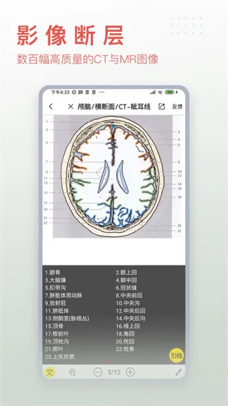 3dbody人体解剖学(医学学习平台) 3dbody人体解剖学(医学学习平台)
