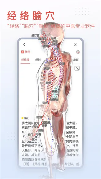 3dbody人体解剖学(医学学习平台) 3dbody人体解剖学(医学学习平台)