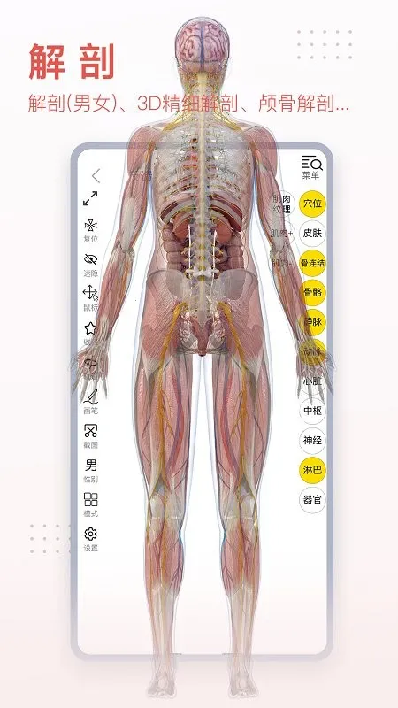 3dbody�������ѧ(ҽѧѧϰƽ̨)v8.8.91 �ֻ���