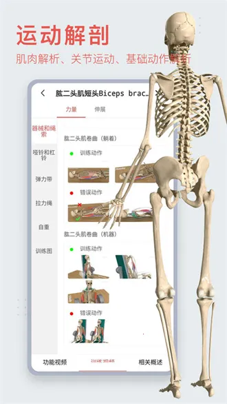 3dbody�������ѧ(ҽѧѧϰƽ̨)v8.8.91 �ֻ���