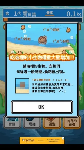 ����ȥ������2025���°汾