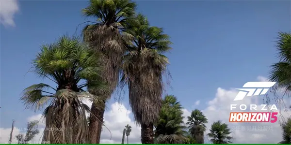 ��ƽ��52025���ذ�װv5.8.5.9 �ֻ���