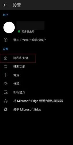 微软浏览器