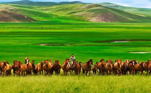 草原全媒(内蒙古新闻平台) 草原全媒(内蒙古新闻平台)