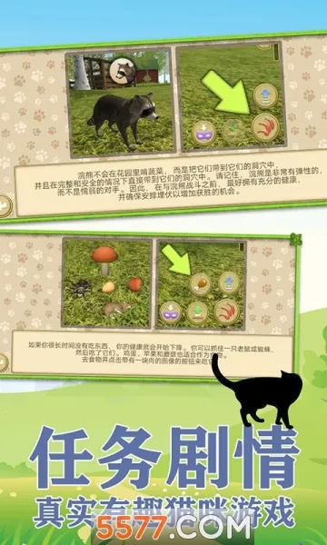 ����һֻ��2026�ٷ����°汾v1.0.6 ��׿��