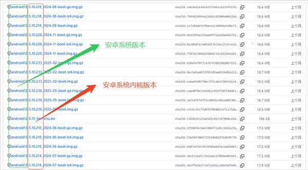 KernelSUNext2026���°汾