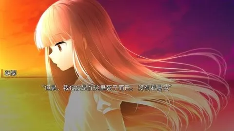 ���������������(�����Ӿ�С˵��Ϸ)v1.0.1g �ֻ���