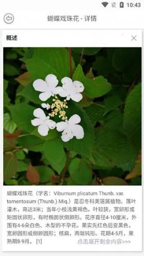 识万物 识万物