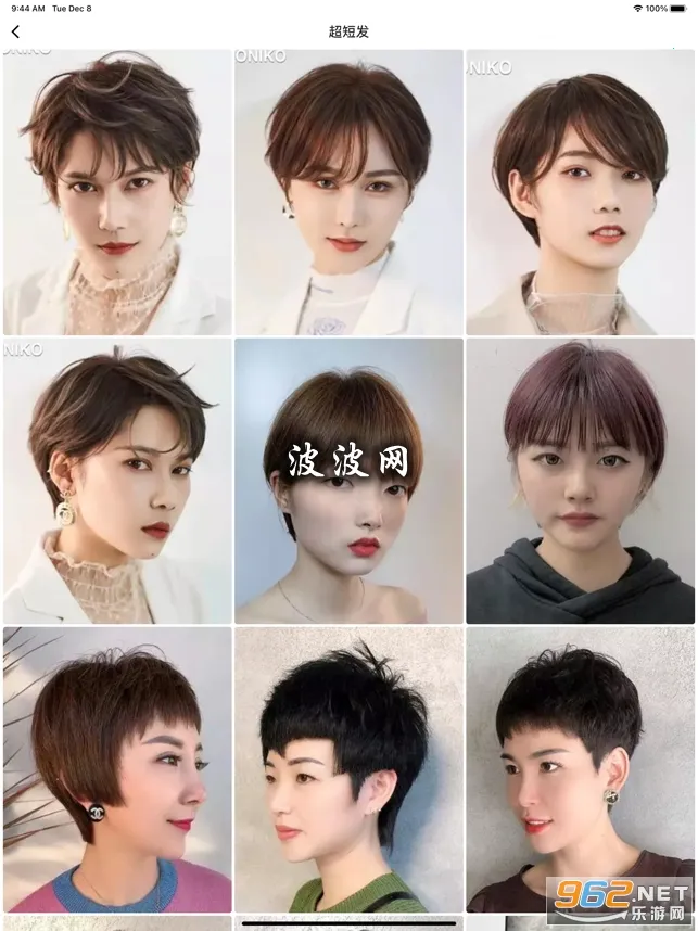 波波网 波波网