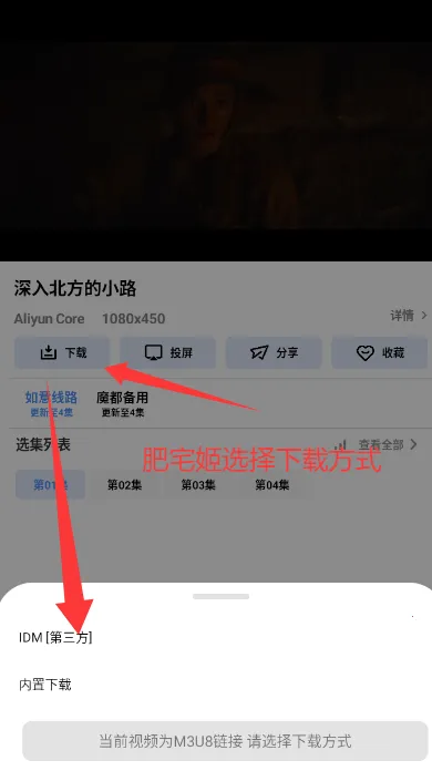 大鱼视频最新手机版 大鱼视频最新手机版