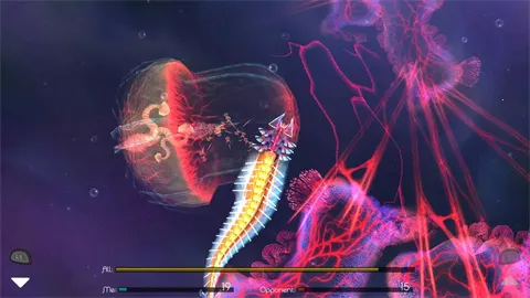 �𻨽���2�����ֻ���