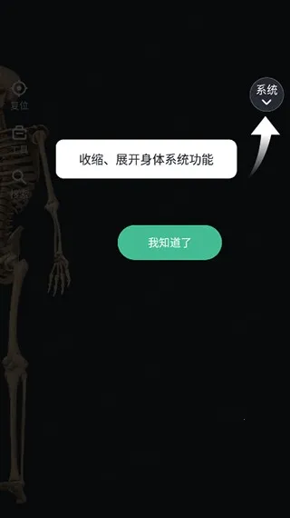 �ڴ��������