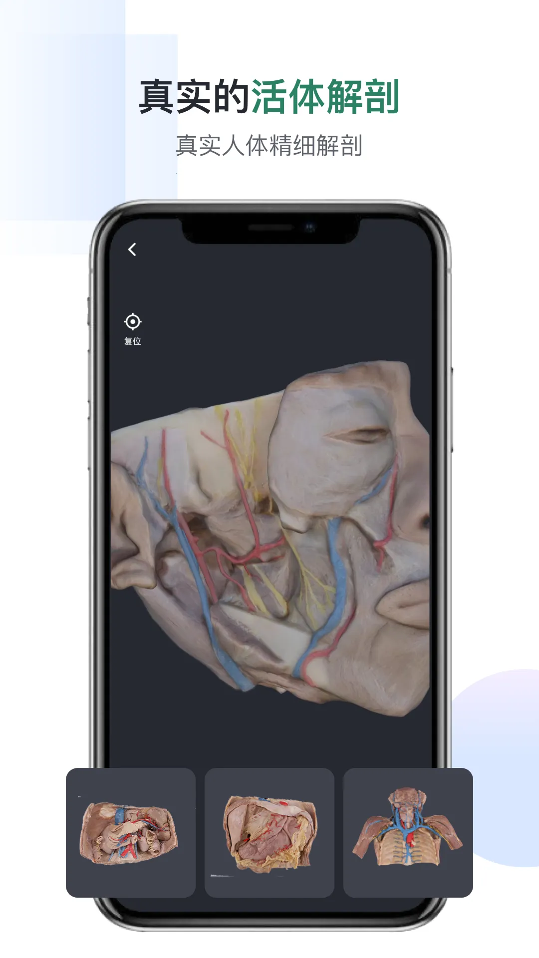 �ڴ��������v3.0.5 �ٷ�����