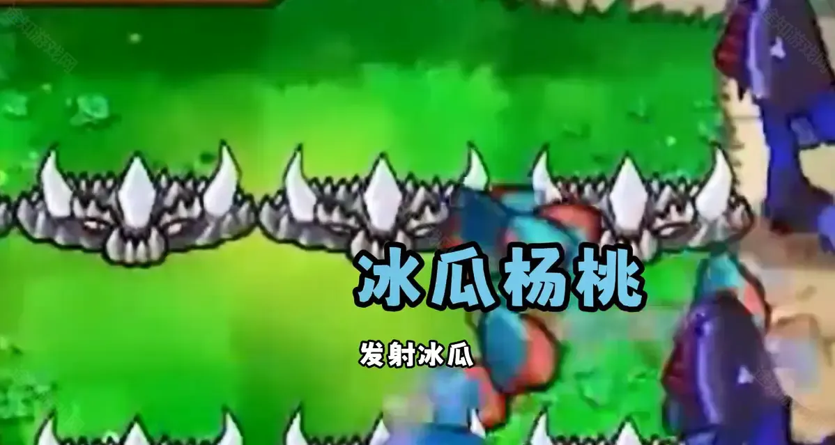 pvz��˫��2026�ٷ����°汾