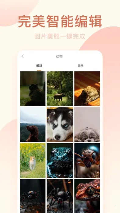 ��ӳ���v1.6.0 ��Ѱ�