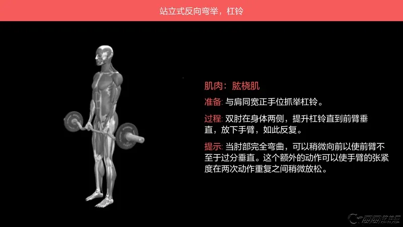 莫比健身最新手机版 莫比健身最新手机版