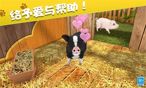 �ҵĶ�������2026�ٷ�����