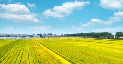 中国农技推广 中国农技推广