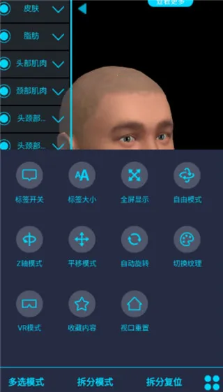 医维度解剖 医维度解剖