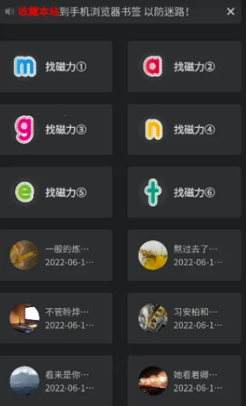 磁力王 磁力王