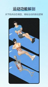 ���ʴ�ʦv5.3.0 �ֻ���