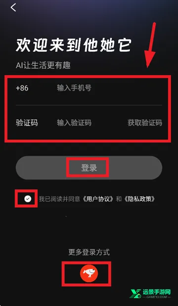 他她它2026官方正版 他她它2026官方正版