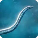 ����ģ����v55.67 ��׿��