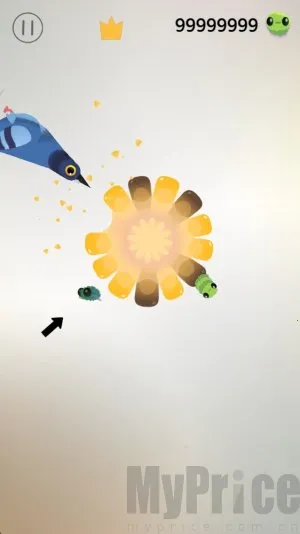 pigeon����2026���°汾