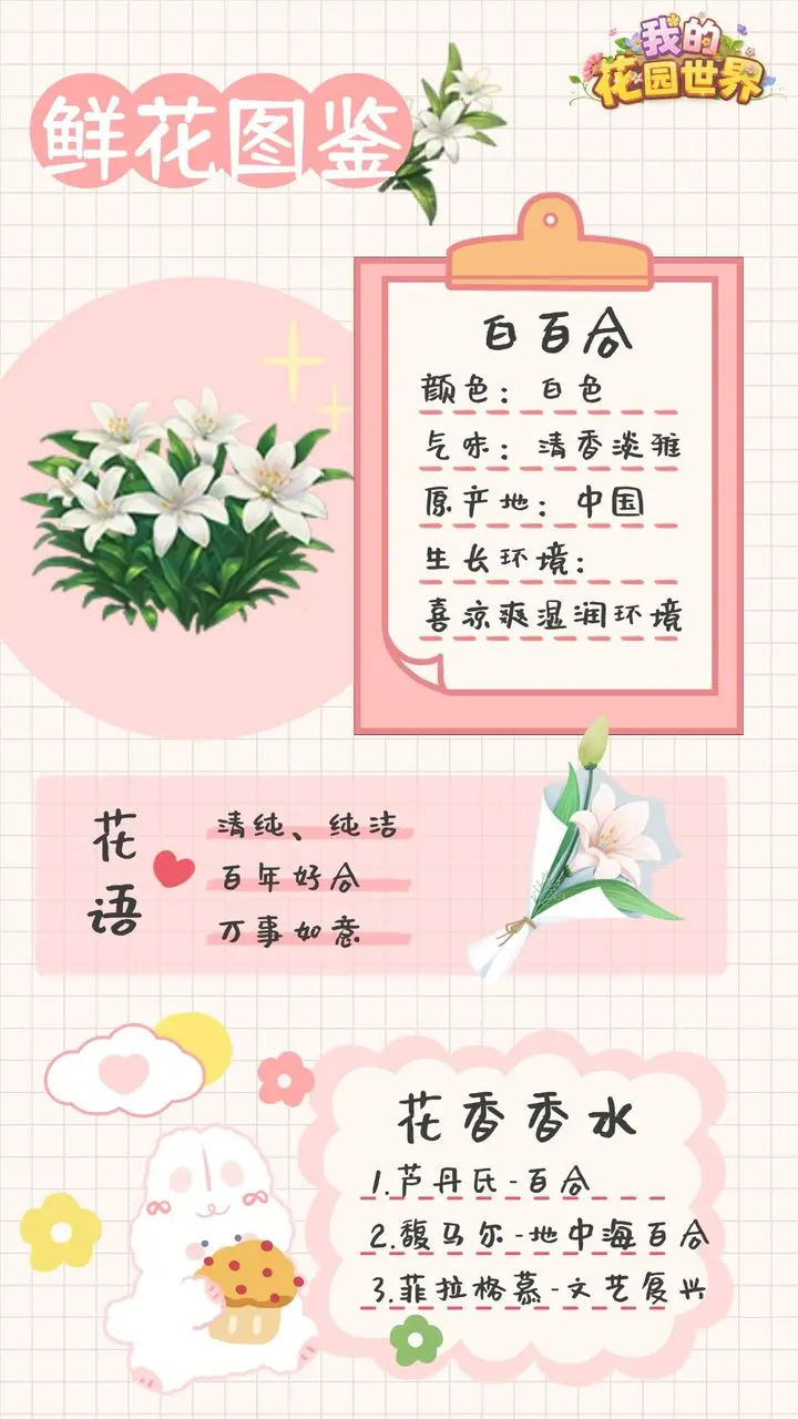 我的花园世界 我的花园世界