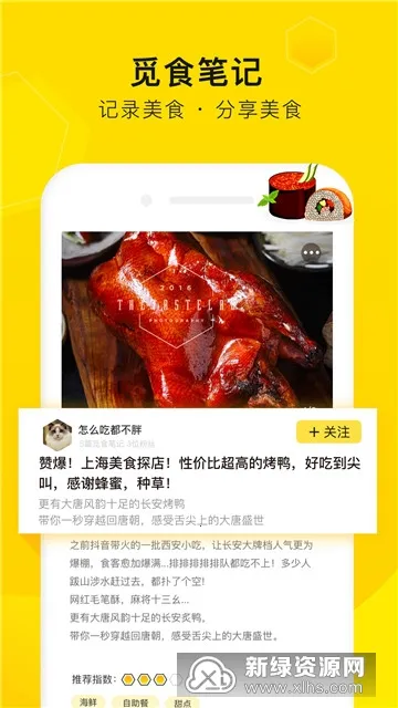 觅食蜂 觅食蜂