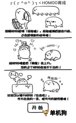 ���������ɼƻ�2026�ٷ�����