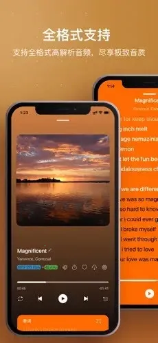 HiFier(���ֲ��Ź���)v1.0 �ٷ�����