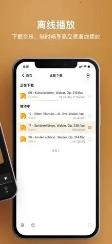 HiFier(���ֲ��Ź���)v1.0 �ٷ�����