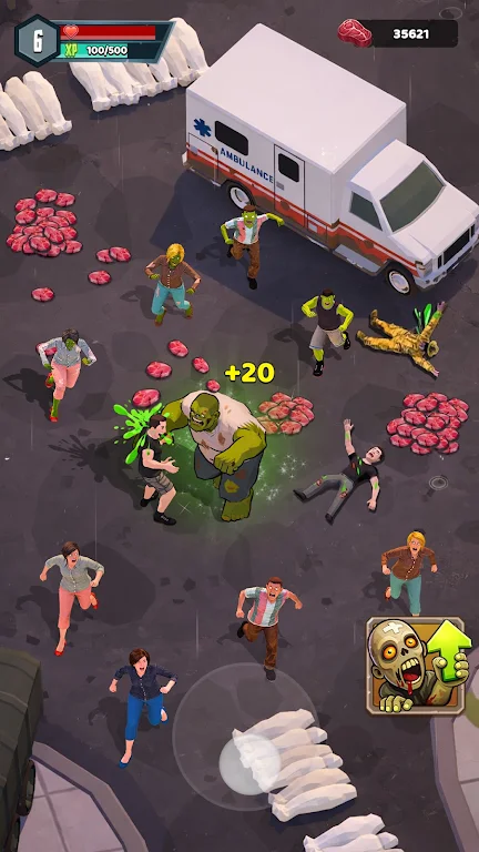 ɥʬ����2026���°汾v0.0.3 �ֻ���