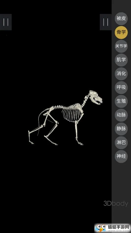 3dbody��������v8.8.91 ��׿��