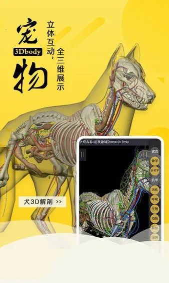 3dbody��������v8.8.91 ��׿��