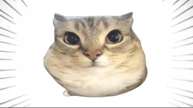 �ͰͲ�һ(δ�ἰ���Ĺ��ܵ�)v1.0 �ֻ���