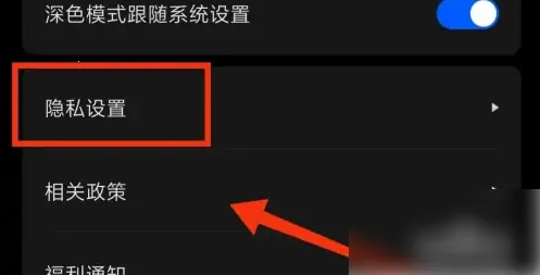 ���ǽ���(������������)
