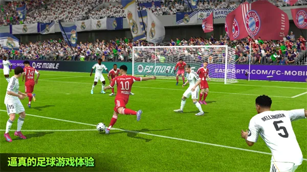 FIFA 22(���򾺼�����)v3.2.113645 �ֻ���