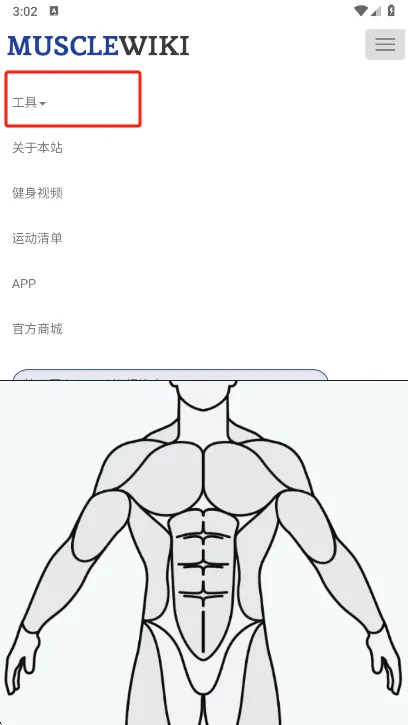 Muscle Wiki��׿���ֻ���v3.0.9 ��Ѱ�